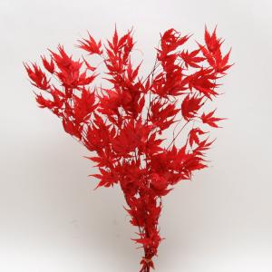 プリザーブドフラワー 花材 即日出荷 もみじ レ...の商品画像