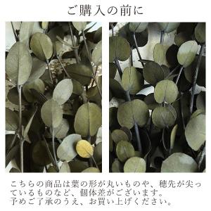 プリザーブドフラワー 花材 即日出荷 グニーユ...の詳細画像1