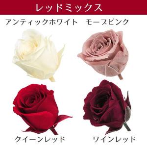 プリザーブドフラワー 花材 即日出荷 ビビアン...の詳細画像2