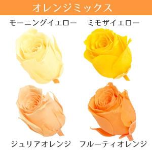 プリザーブドフラワー 花材 即日出荷 ビビアン...の詳細画像3