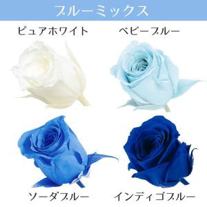 プリザーブドフラワー 花材 即日出荷 ビビアン...の詳細画像5