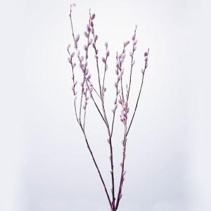 《プリザーブドフラワー 花材》出荷大地農園 ソフトネコヤナギスプレー