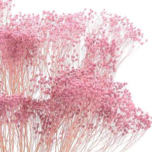 プリザーブドフラワー 花材 即日出荷 モリソニ...の詳細画像1