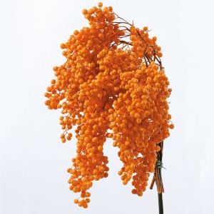プリザーブドフラワー 花材 即日出荷 ペッパーベリー・プリザーブド オレンジ プリザーブドフラワー スワッグ ブーケ ドライフラワー 花束 花材 大地農園