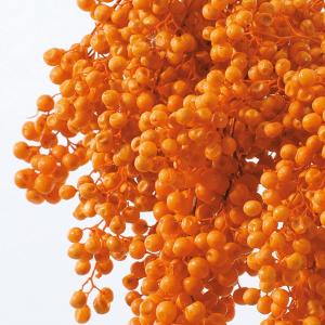 プリザーブドフラワー 花材 即日出荷 ペッパー...の詳細画像1