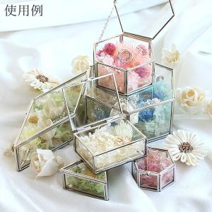 プリザーブドフラワー 花材 即日出荷 千日紅・...の詳細画像2