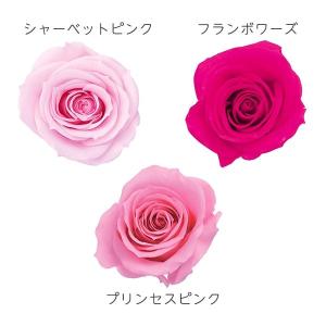 プリザーブドフラワー 花材 とりよせ品 ピッコラブロッサムローズ(1箱