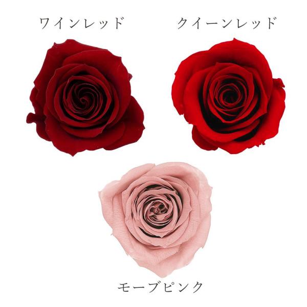 プリザーブドフラワー 花材 即日出荷 ローズ・いずみ・カラーアソート(9輪入り) レッドミックス 花...
