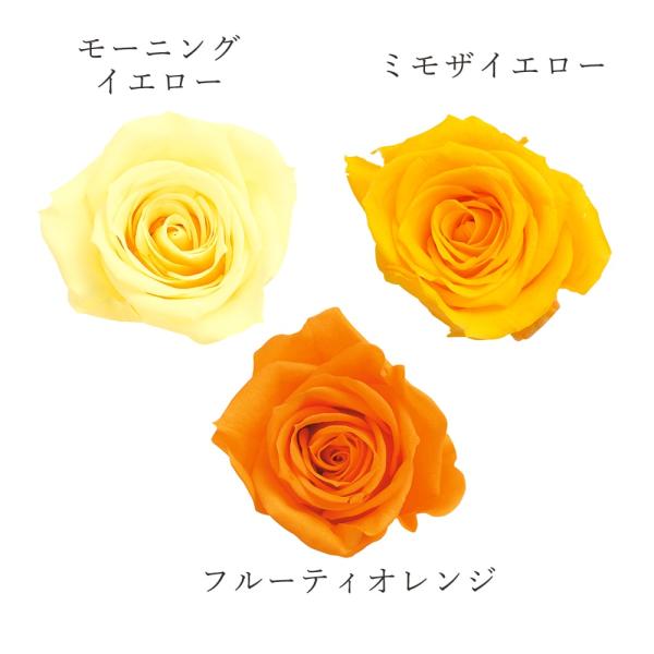 プリザーブドフラワー 花材 即日出荷 ローズ・いずみ・カラーアソート オレンジミックス 花材 ローズ...