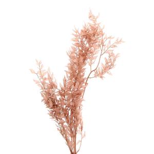 プリザーブドフラワー 花材 即日出荷 ラスカス・...の商品画像