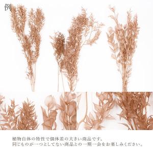 プリザーブドフラワー 花材 即日出荷 ラスカス...の詳細画像3