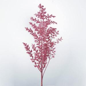 【P5倍中 6/23 9:59まで】 プリザーブドフラワー 花材 即日出荷 【40％OFF】期間限定特価 ラスカス・プリザーブド エスプリピンク リーフ 葉 花束 大地農園