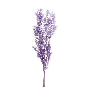 ドライフラワー 花材 即日出荷 ラグラス アンティークパープル 穂 