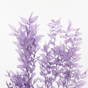 プリザーブドフラワー 花材 即日出荷 ラスカス...の詳細画像1