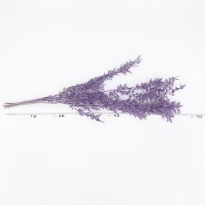 プリザーブドフラワー 花材 即日出荷 ラスカス...の詳細画像2