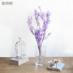 プリザーブドフラワー 花材 即日出荷 ラスカス...の詳細画像3
