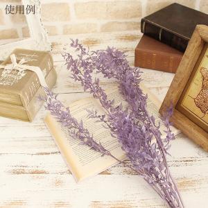 プリザーブドフラワー 花材 即日出荷 ラスカス...の詳細画像4