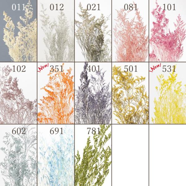 プリザーブドフラワー 花材 即日出荷 【40％OFF】期間限定特価 カスピア ※オフホワイトがクリー...