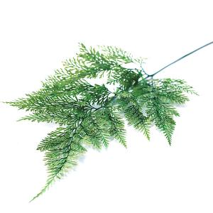 プリザーブドフラワー 花材 即日出荷 タバリア...の詳細画像2