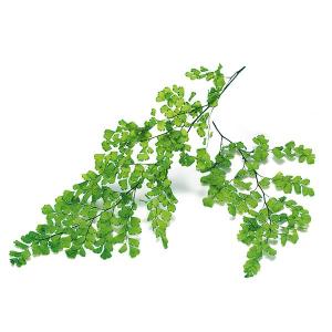 プリザーブドフラワー 花材 即日出荷 ティーツリー(メラレウカ) ライム