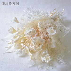ドライフラワー 花材 即日出荷 シースターファ...の詳細画像3