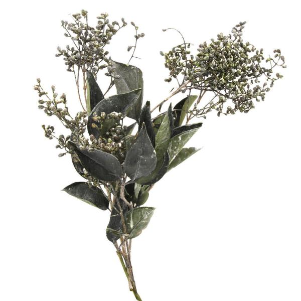 プリザーブドフラワー 花材 即日出荷 タマツバキ ウォッシュホワイト 花材 素材 材料 スワッグ ブ...