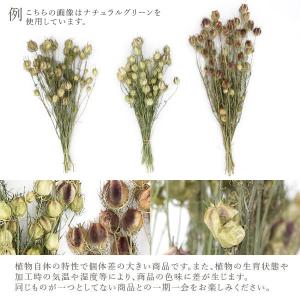 【P5倍中 7/14 9:59まで】 ドライフ...の詳細画像2