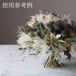 ドライフラワー 花材 即日出荷 ルリ玉アザミ ...の詳細画像3