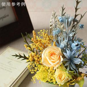 ドライフラワー 花材 即日出荷 ニゲラオリエン...の詳細画像3
