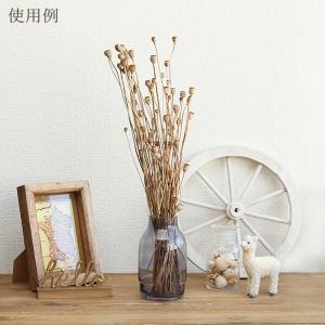 ドライフラワー 花材 即日出荷 シャーリーポピ...の詳細画像4