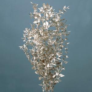 P5倍中 12/02 09:59迄】 ドライフラワー 花材 即日出荷 マグノリア