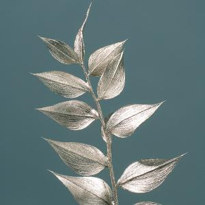 ドライフラワー 花材 即日出荷 ラスカス プラ...の詳細画像1