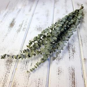 造花ドライフラワー専門問屋花びし ドライグリーン ドライフラワー Yahoo ショッピング