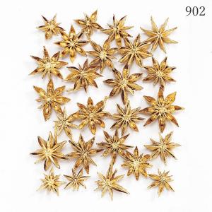 ドライフラワー 花材 即日出荷 スターアニス ...の詳細画像1