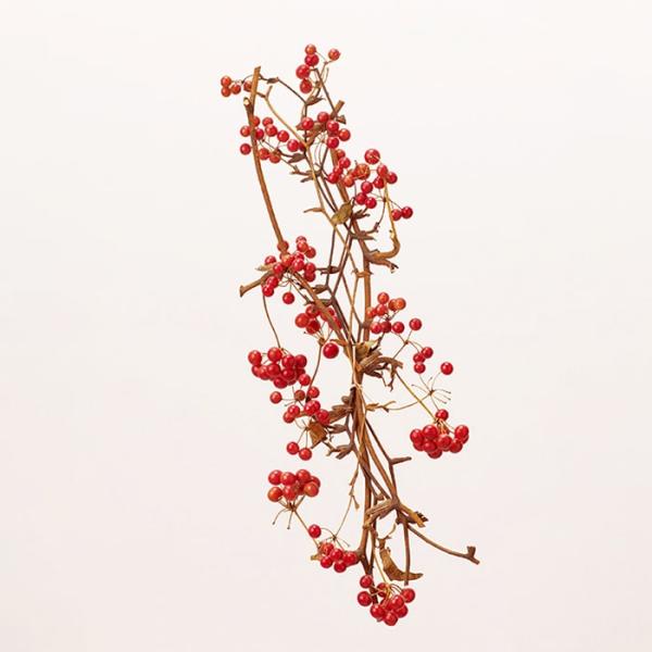 ドライフラワー 花材 即日出荷 サンキライのツル(実付き)  実もの 花材 素材 材料 パーツ ドラ...