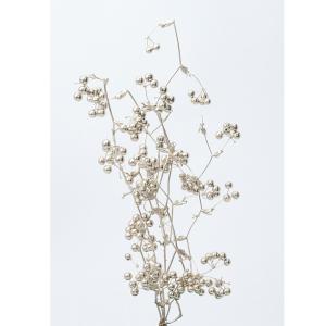 ドライフラワー 花材 即日出荷 ボンツリー ナチュラルホワイト 枝 材料