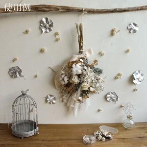 ドライフラワー 花材 即日出荷 ワタの実(ワタ...の詳細画像4