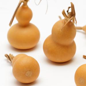 ドライフラワー 花材 即日出荷 豆ひょうたん ...の詳細画像1
