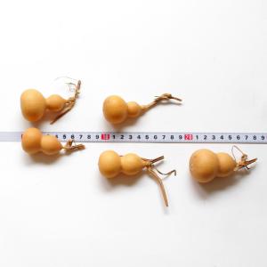 ドライフラワー 花材 即日出荷 豆ひょうたん ...の詳細画像2