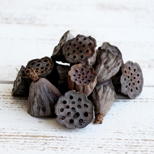 【P5倍中 12/02 09:59迄】 ドライフラワー 花材 即日出荷 ミニハス・大 ナチュラル ド...