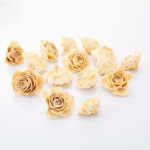 ドライフラワー 花材 即日出荷 シダローズ・ヘッ...の商品画像