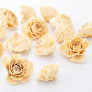 ドライフラワー 花材 即日出荷 シダローズ・ヘ...の詳細画像1