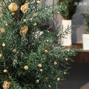 ドライフラワー 花材 即日出荷 シダローズ・ヘ...の詳細画像3