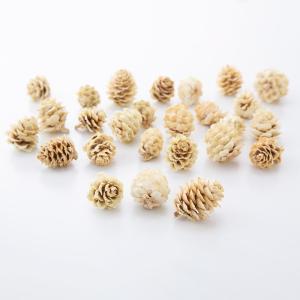 【P10倍中 4/20 9:59迄】 ドライフラワー 花材 即日出荷 カラ松 花材 素材 材料 パーツ デコ リース レジン 白 ドライフラワー 木の実 スワッグ 大地農園