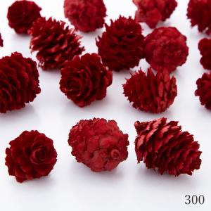 ドライフラワー 花材 即日出荷 カラ松 花材 ...の詳細画像2
