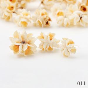 ドライフラワー 花材 即日出荷 フラワーコーン...の詳細画像2