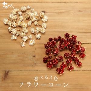 ドライフラワー 花材 即日出荷 ブッダナッツ 素材 材料 パーツ デコ