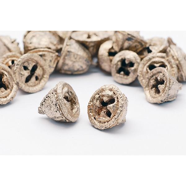 【P5倍中 12/02 09:59迄】 ドライフラワー 花材 即日出荷 ユーカリの実 プラチナ ドラ...