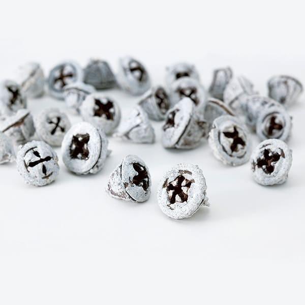 【P5倍中 12/02 09:59迄】 ドライフラワー 花材 即日出荷 ユーカリの実 スノー ドライ...