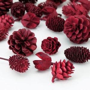 ドライフラワー 花材 即日出荷 レッドコーンア...の詳細画像1